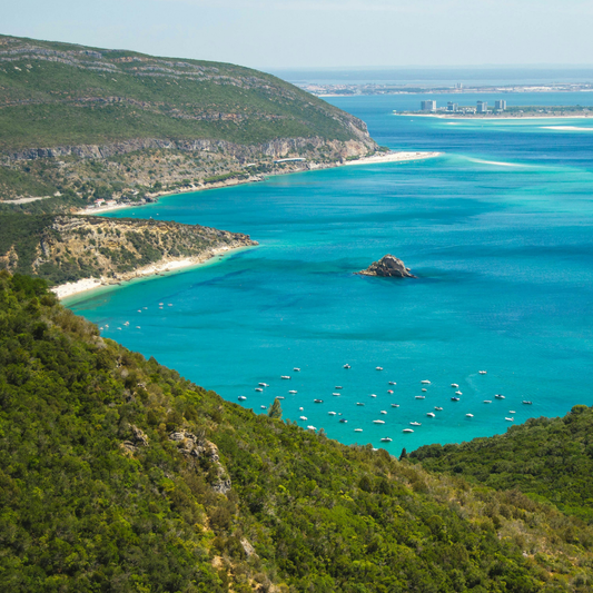 Setúbal & Arrábida Private Tour with Wine Tasting