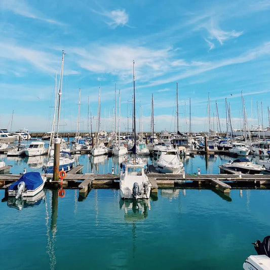 Marina with numerous boats docked under a clear blue sky.