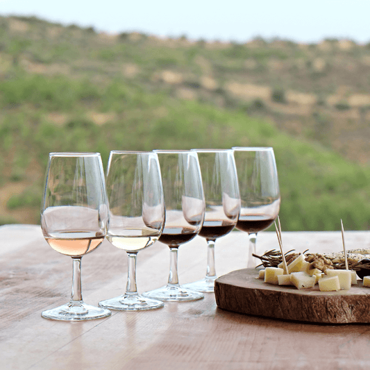 Explore Évora, a UNESCO World Heritage city