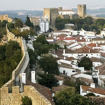 Porto Tour with stop in Obidos from Lisbon