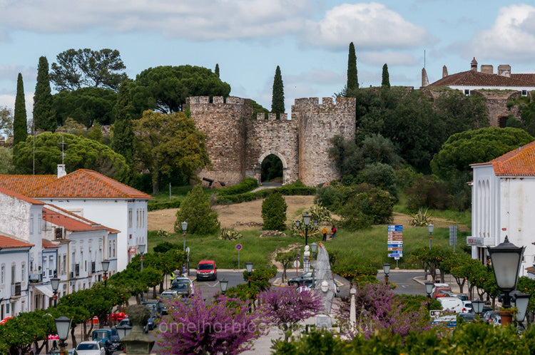 Obidos Tours