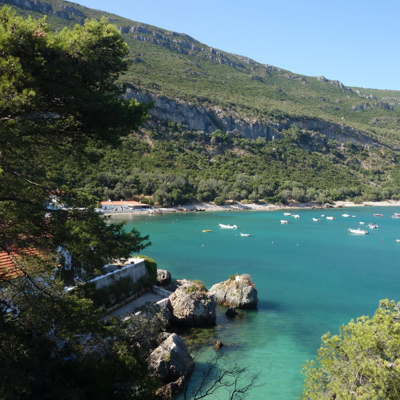 LUXURY PRIVATE TOUR SETUBAL