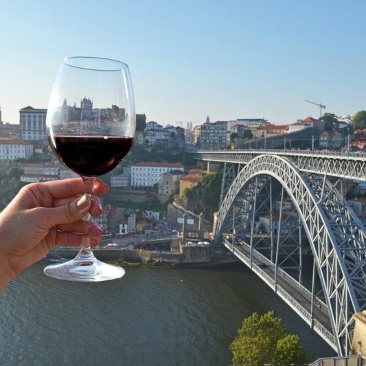wine tasting from lisbon