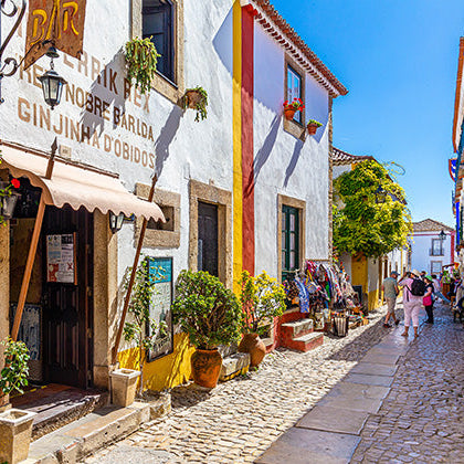 Obidos, Nazaré and Peniche Tour