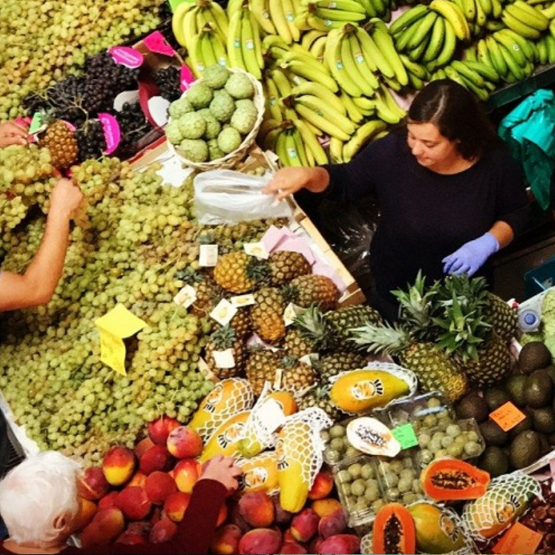 LUXURY PRIVATE TOUR SETUBAL