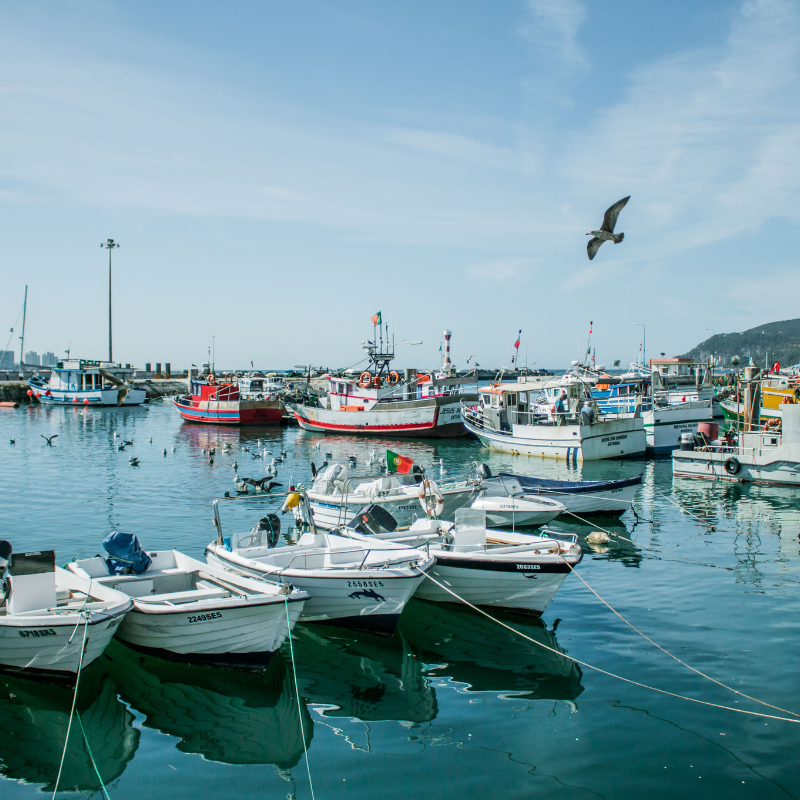 LUXURY PRIVATE TOUR SETUBAL