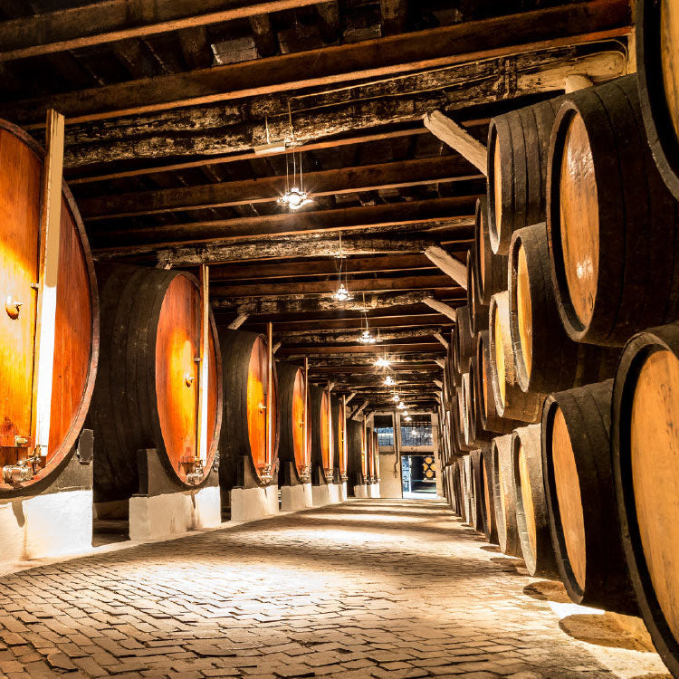 Row of wooden wine barrels in a wine cellar with warm lighting.